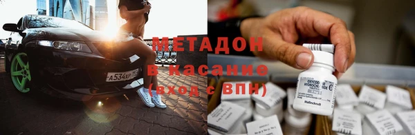 индика Ладушкин