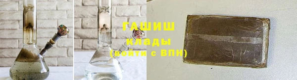 индика Ладушкин