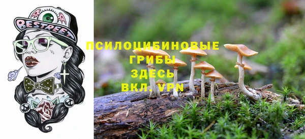 не бодяженный Кулебаки