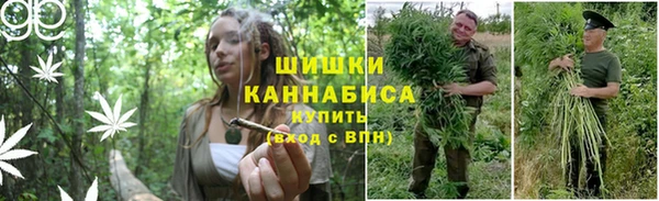 индика Ладушкин