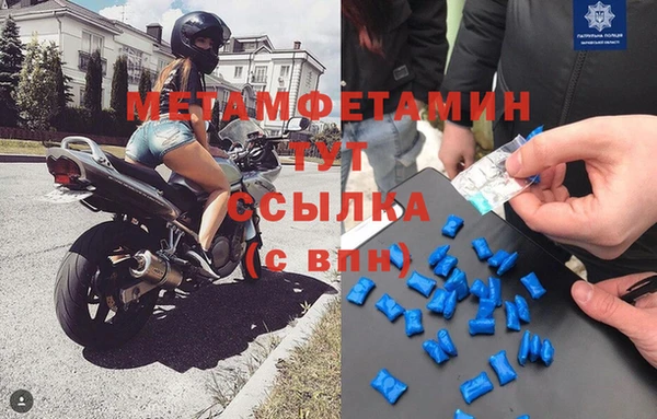 индика Ладушкин
