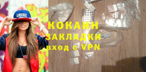 индика Ладушкин