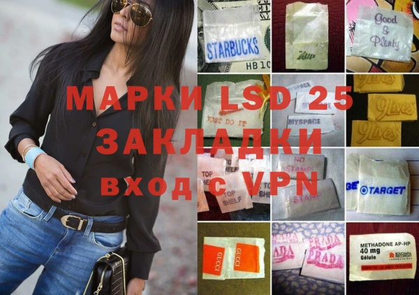 ECSTASY Лагань
