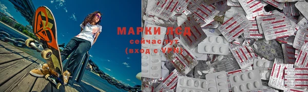 индика Ладушкин