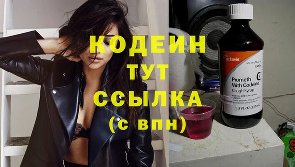 ECSTASY Лагань