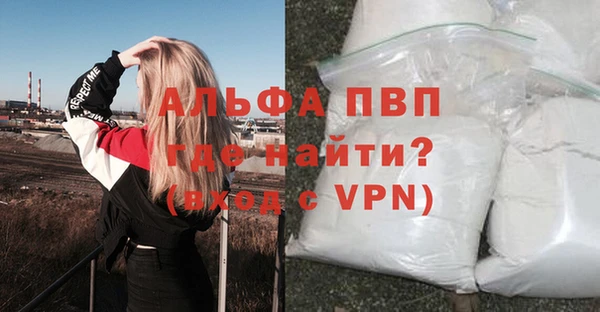 индика Ладушкин